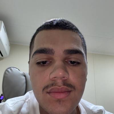 دب مطيع