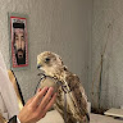 Abdullah