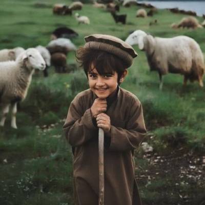 علي