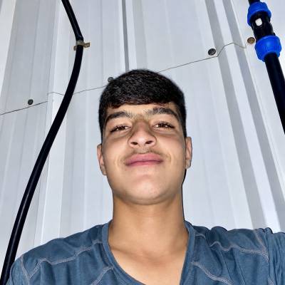 Ammar