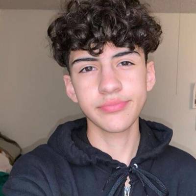 عبود